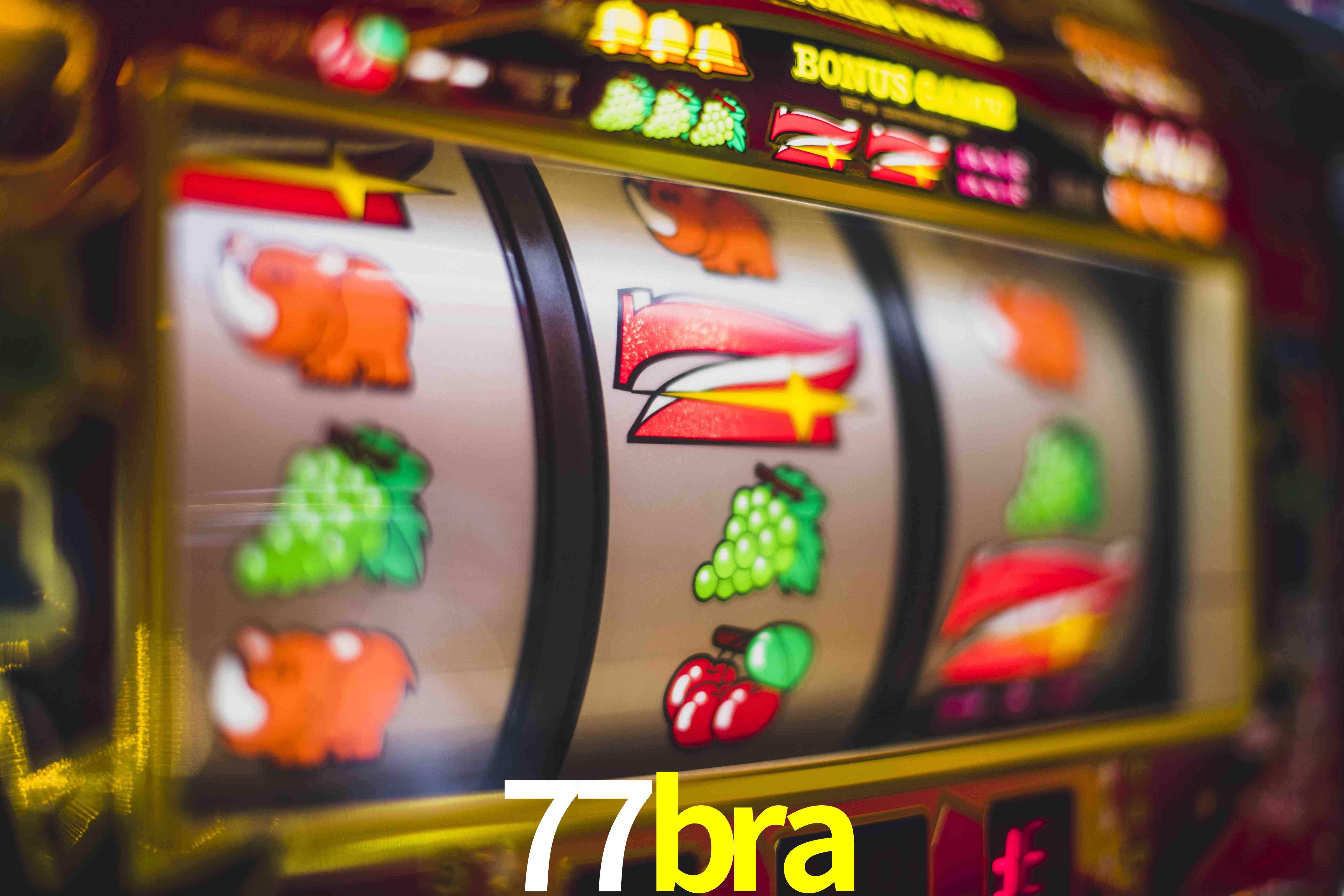 Live Casino 77bra